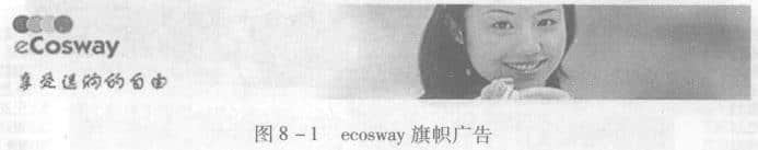 ecosway旗帜广告